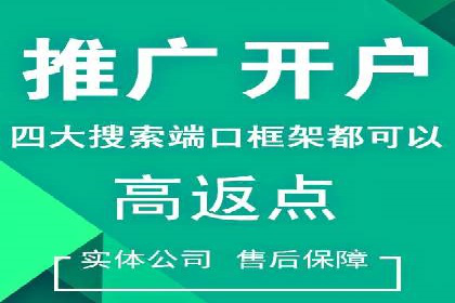 竞价广告的投放策略与网络推广的实践案例